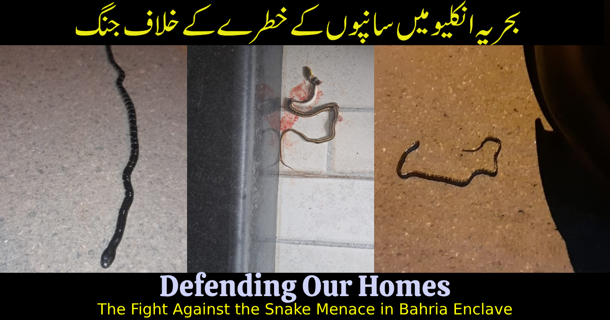 Snake Menace in Bahria Enclave Sectors H & N: Urgent Action Needed During Monsoon