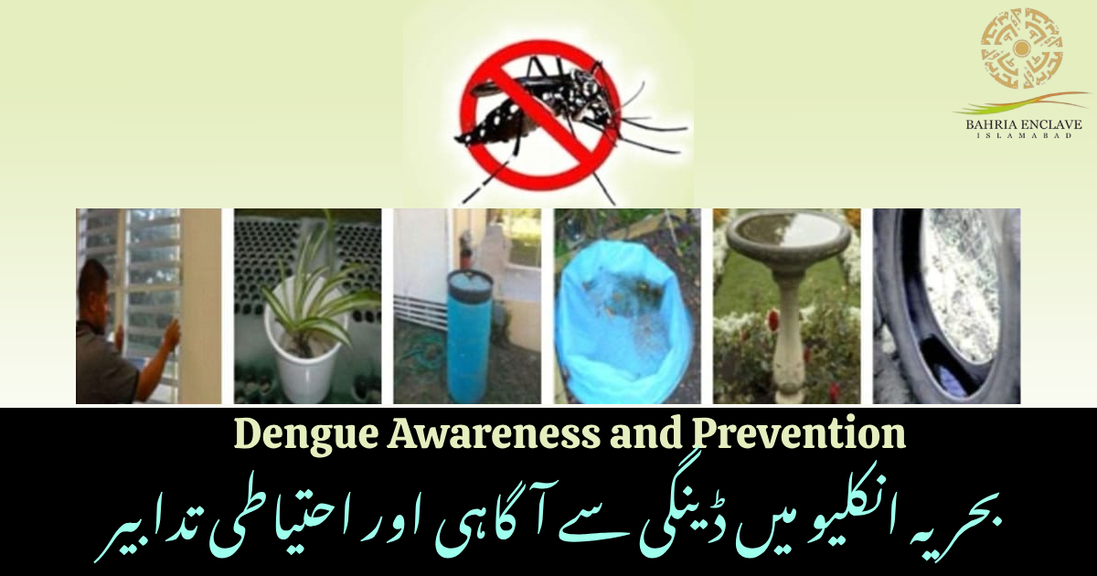 Dengue awareness and prevention measures poster in Bahria Enclave, highlighting symptoms and safety guidelines